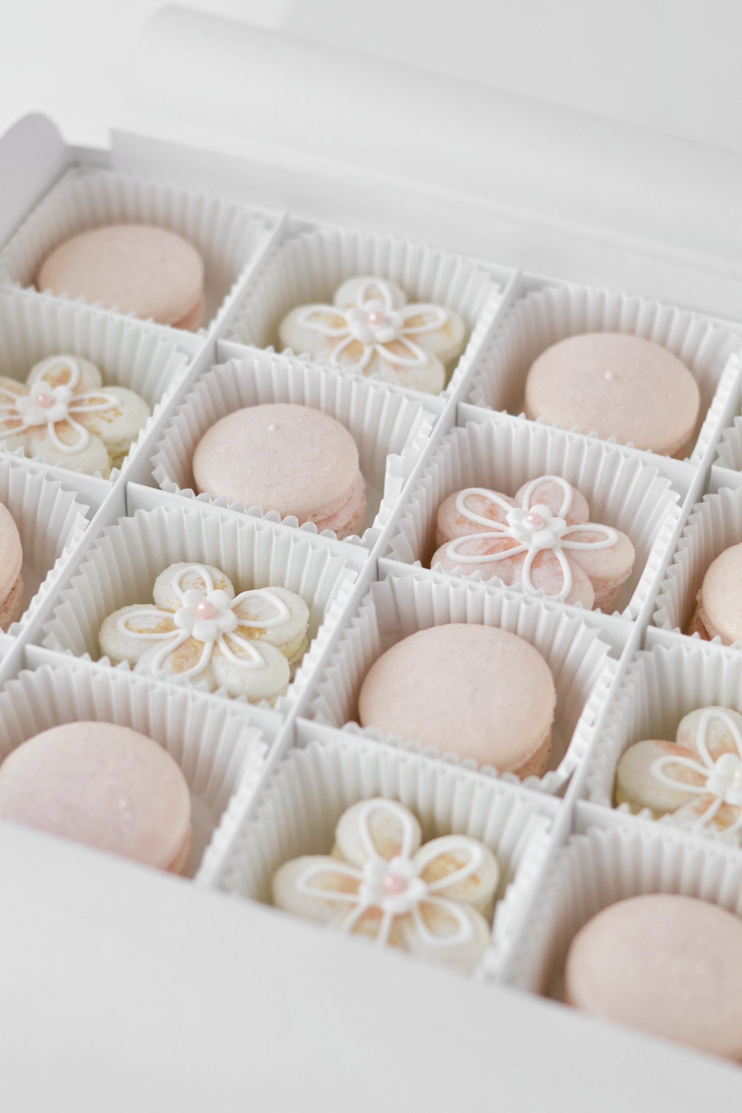 Macaron Blossom Collection